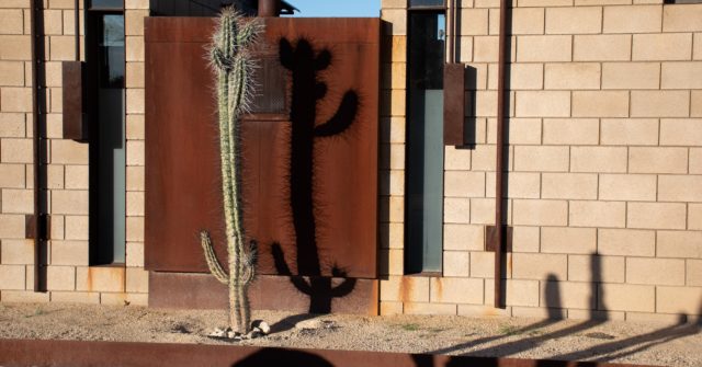 Desert Cactus | www.ravenswork.com