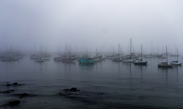 Monterey Bay in the fog