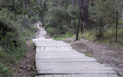 Stairway to Heaven