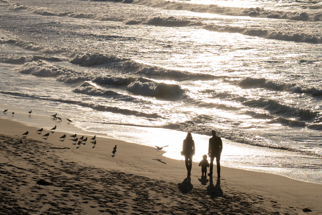Family watching sunset, Monterey Bay